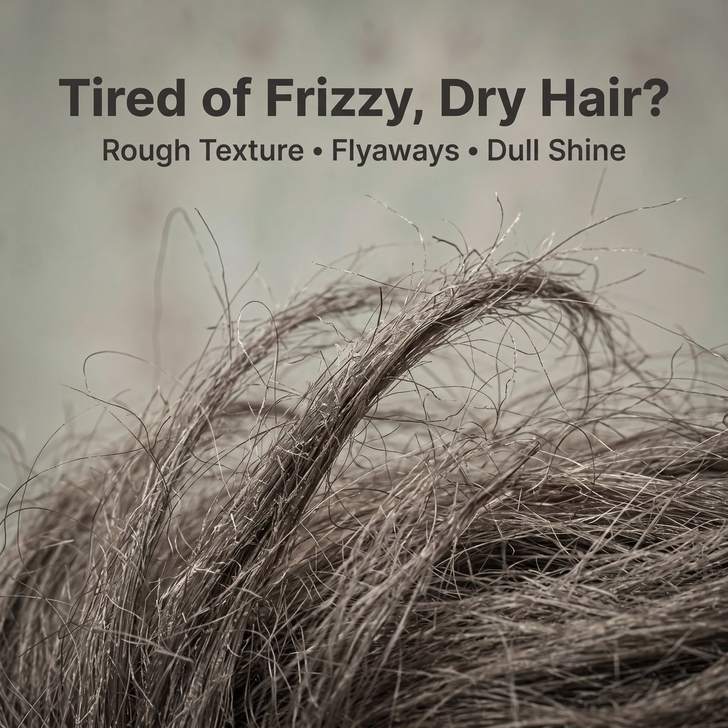 Devasya Ayurvedic Frizz Control Combo – Rice Silk Cleanser, Panchgavya Elixir Oil & Rosemary Hair Mist for Smooth, Soft & Manageable Hair